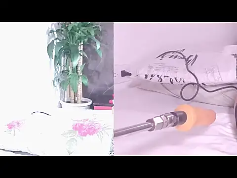 Carol Swet online show from 17, 4, 2026