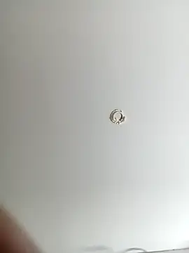 ladyyhardcore online show from 19, 2, 2026