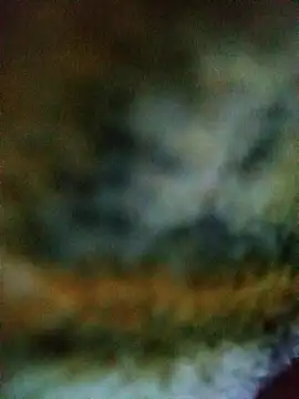 Avinh 09 online show from 15, 2, 2026