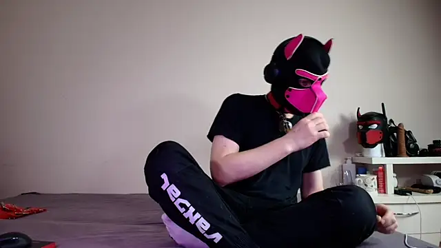 K9 GoodBoy online show from 18, 6, 2026