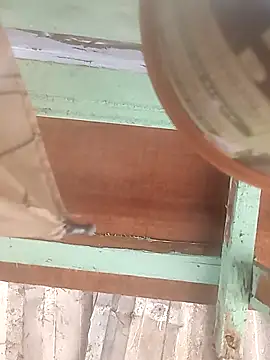 euchapo99 online show from 19, 2, 2026