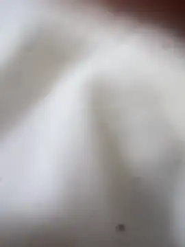 Jaybraconect online show from 21, 2, 2026