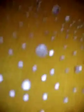 Vycute9900 online show from 1, 3, 2026