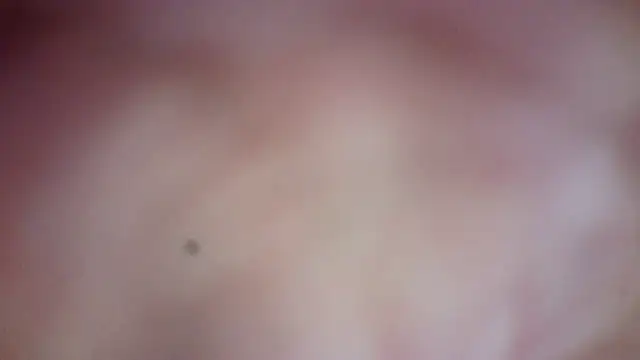 truble78 online show from 26, 3, 2026