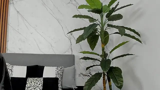 Snapshot of Amara_Velvet_ chatting on 14, 7, 2026 Amara Velvet online show from 14, 7, 2026