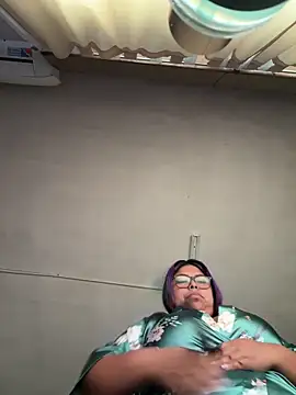 perritarebeldee online show from 5, 4, 2026