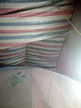 Snapshot of Susu-bae chatting on 26, 2, 2026 Susu-bae online show from 26, 2, 2026