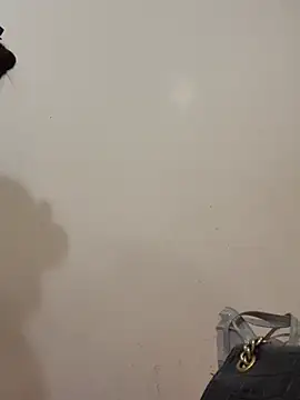 Snapshot of Dautay-mup chatting on 4, 3, 2026 Dautay-mup online show from 4, 3, 2026