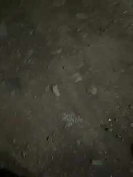 Snapshot of parth73637 chatting on 23, 2, 2026 parth73637 online show from 23, 2, 2026