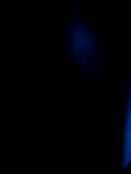 AppleMiel online show from 8, 3, 2026