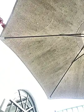 AdaPink  online show from 1, 4, 2026