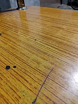 67sanju online show from 24, 2, 2026