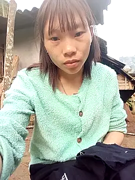 pic8800 online show from 3, 3, 2026