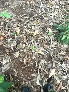 bibedro online show from 28, 2, 2026