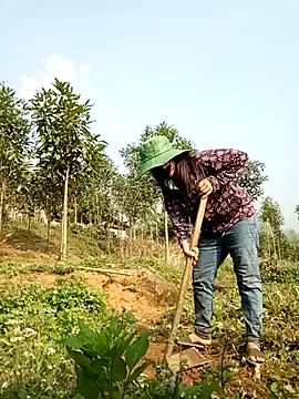 lyly sexx online show from 31, 3, 2026