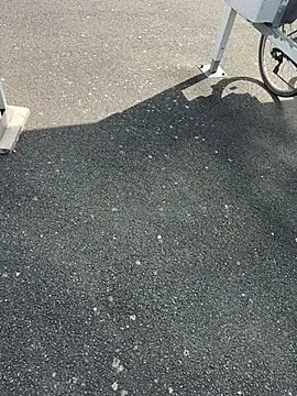 portostrip online show from 14, 4, 2026