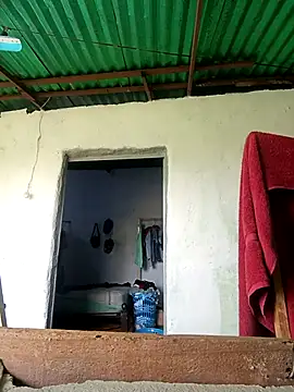 luis230436 online show from 13, 4, 2026