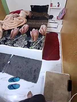 SingleTest online show from 2, 3, 2026