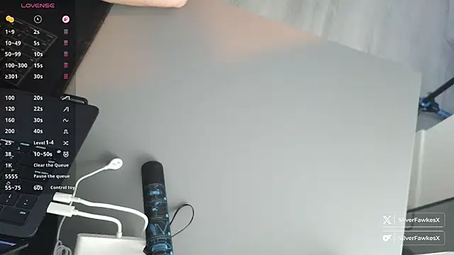 Snapshot of silverfawkesx chatting on 2, 3, 2026 silverfawkesx online show from 2, 3, 2026