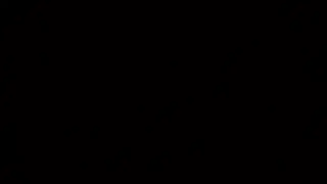 Kaely-Hot- online show from 8, 4, 2026