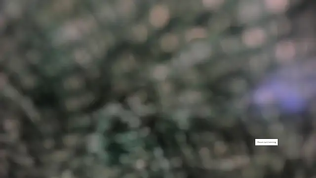 IVONE ASHAR online show from 14, 3, 2026