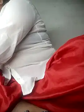 Delhi Patola online show from 13, 4, 2026