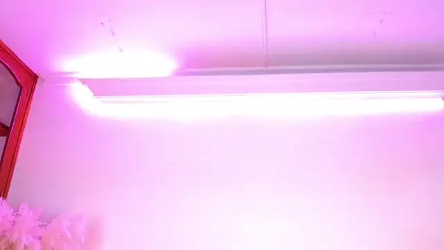 Rebeldana online show from 14, 3, 2026