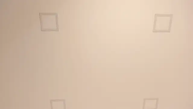 lilly williamss online show from 9, 4, 2026