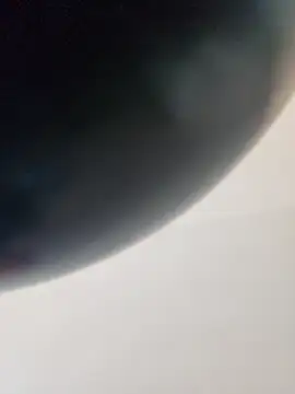 dufatcock online show from 14, 4, 2026