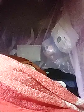 chekoko online show from 17, 4, 2026