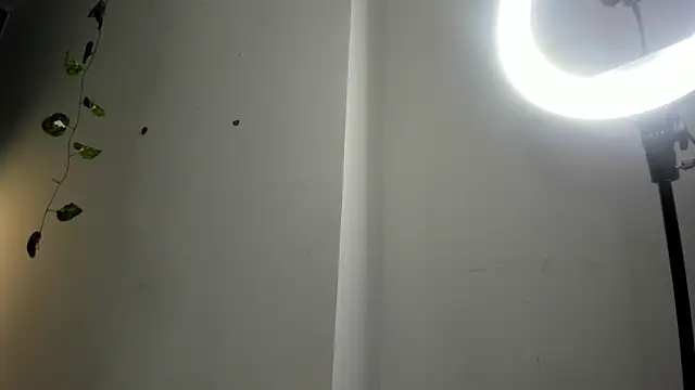 JHON MASTER24 online show from 1, 4, 2026