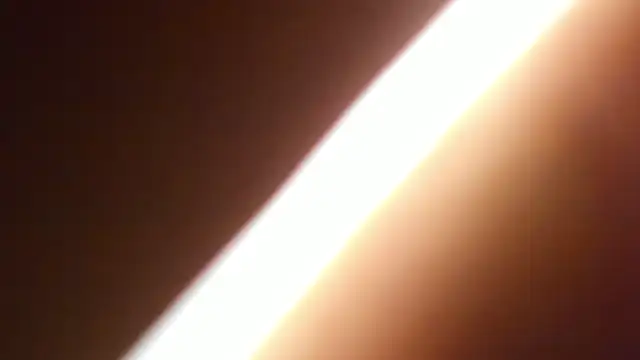 bichslutsgirls online show from 2, 4, 2026