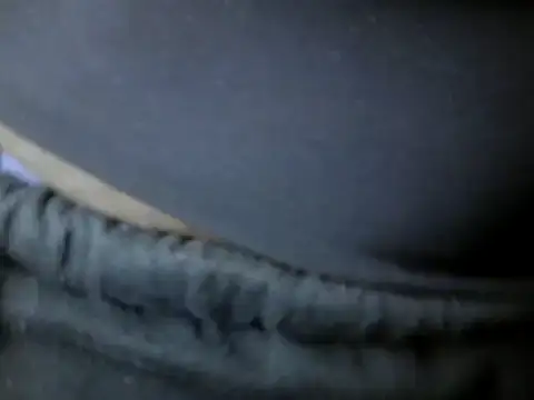 Snapshot of Sexy-Ebonise chatting on 22, 3, 2026 Sexy-Ebonise online show from 22, 3, 2026