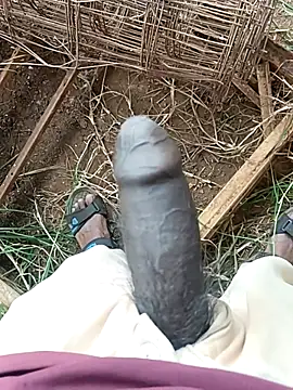 sanju 5418 online show from 11, 4, 2026