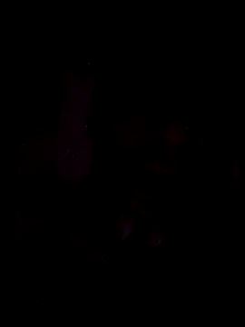 onliveme69 online show from 8, 4, 2026