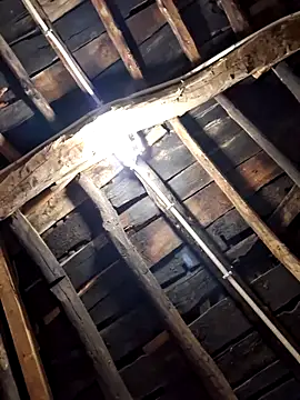 Snapshot of Alge882 chatting on 5, 4, 2026 Alge882 online show from 5, 4, 2026