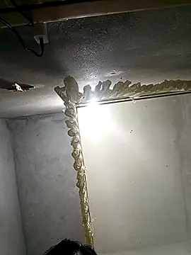 Candy-sexyy online show from 3, 4, 2026