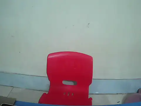 lusa baby online show from 25, 3, 2026