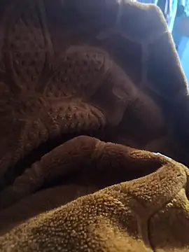 Snapshot of sexy-girl147 chatting on 5, 4, 2026 sexy-girl147 online show from 5, 4, 2026