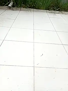 Ffffg23cm online show from 27, 4, 2026