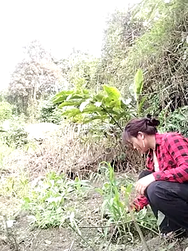 Giang-mylove online show from 4, 4, 2026