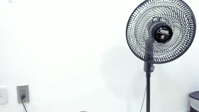 Snapshot of noah_chips_ chatting on 7, 4, 2026 noah chips online show from 7, 4, 2026