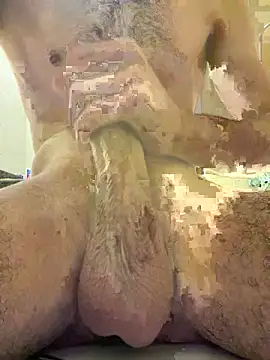 Biuals online show from 20, 4, 2026