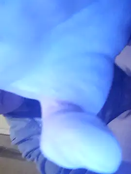 beebuzz0 online show from 7, 4, 2026