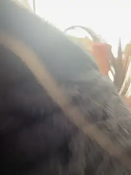 AlmaSajor  online show from 14, 4, 2026