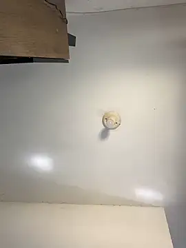 sanches 065 online show from 6, 4, 2026