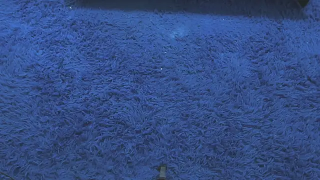 Mia-collins01 online show from 15, 4, 2026