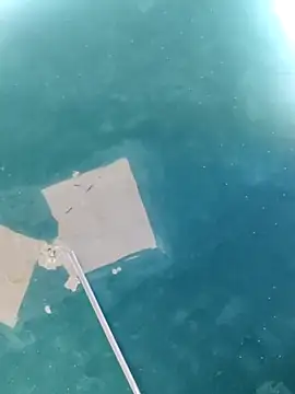 maicol6699 online show from 18, 4, 2026