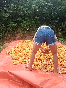 Elena Mia online show from 7, 7, 2026