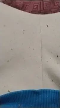 diego69caxondo online show from 22, 4, 2026